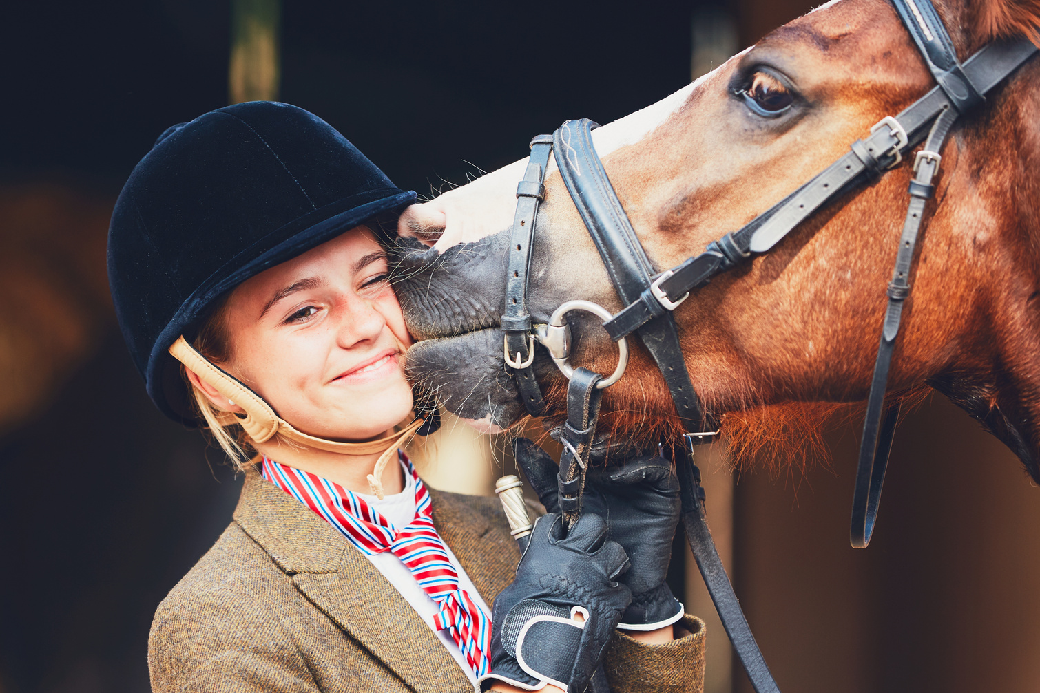 Bond between horse and rider